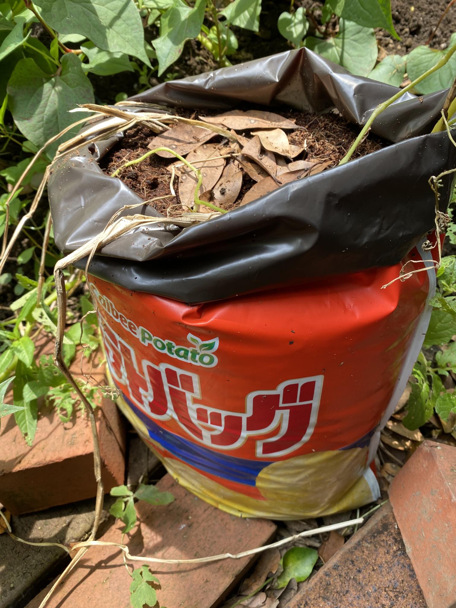 じゃがバッグ
