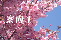 ★★★
